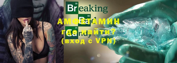 индика Верхний Тагил